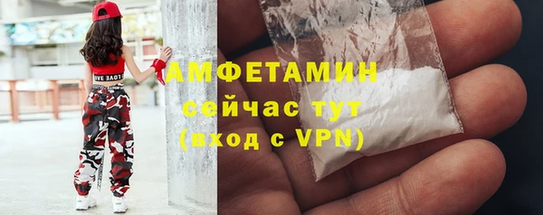 прущие грибы Дмитриев