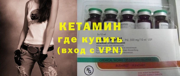 прущие грибы Дмитриев