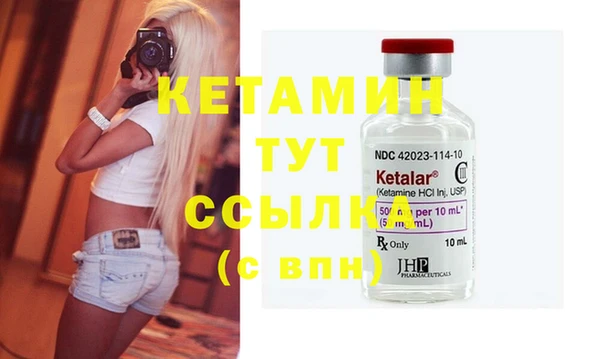 прущие грибы Дмитриев
