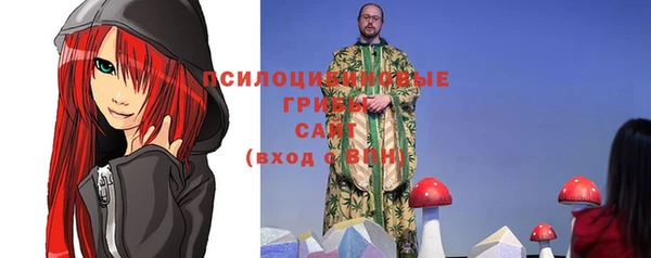 прущие грибы Дмитриев