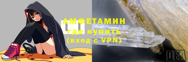 прущие грибы Дмитриев