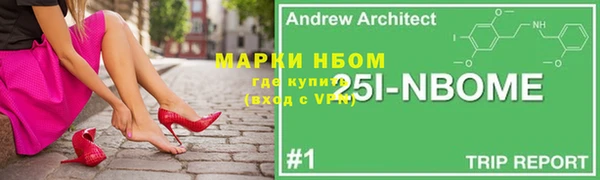 прущие грибы Дмитриев