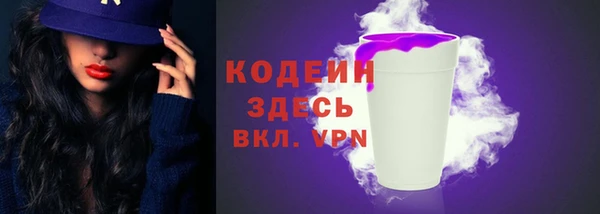 прущие грибы Дмитриев