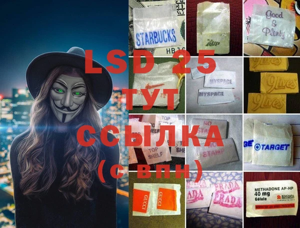 прущие грибы Дмитриев