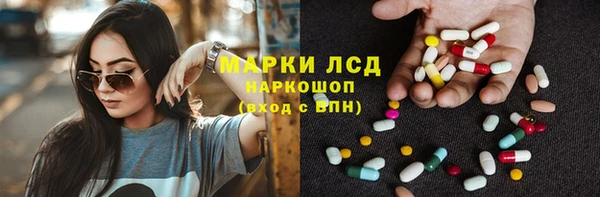 прущие грибы Дмитриев