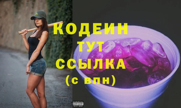 прущие грибы Дмитриев