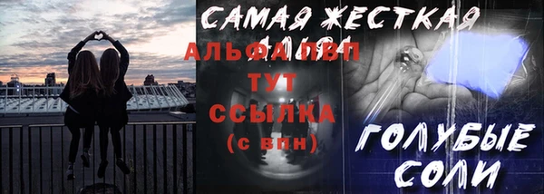 прущие грибы Дмитриев